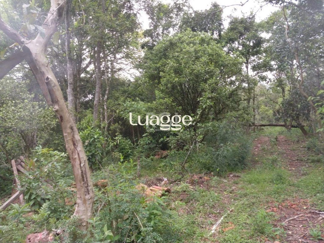 .jpg+2025-03-05