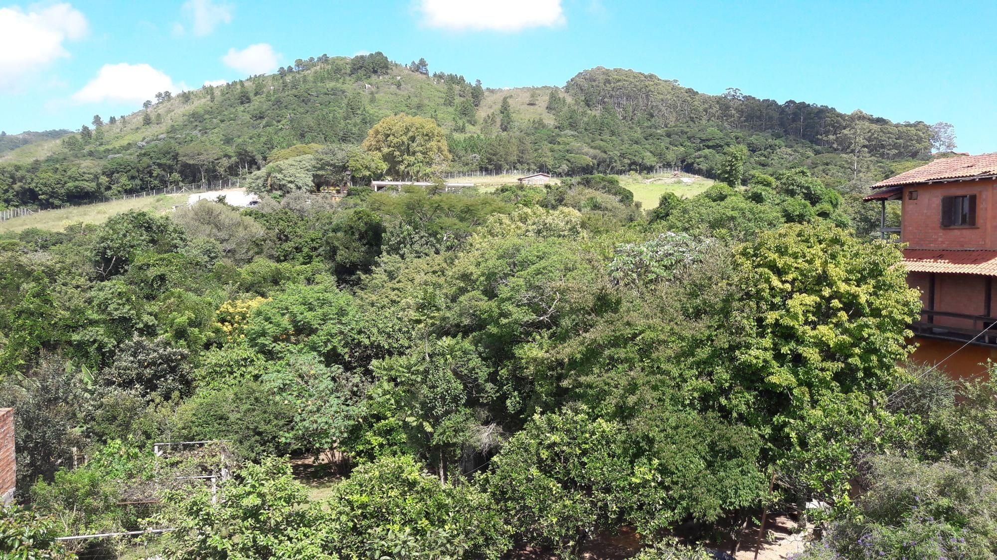 Ótima chacará em localização privilegiada. — foto 64