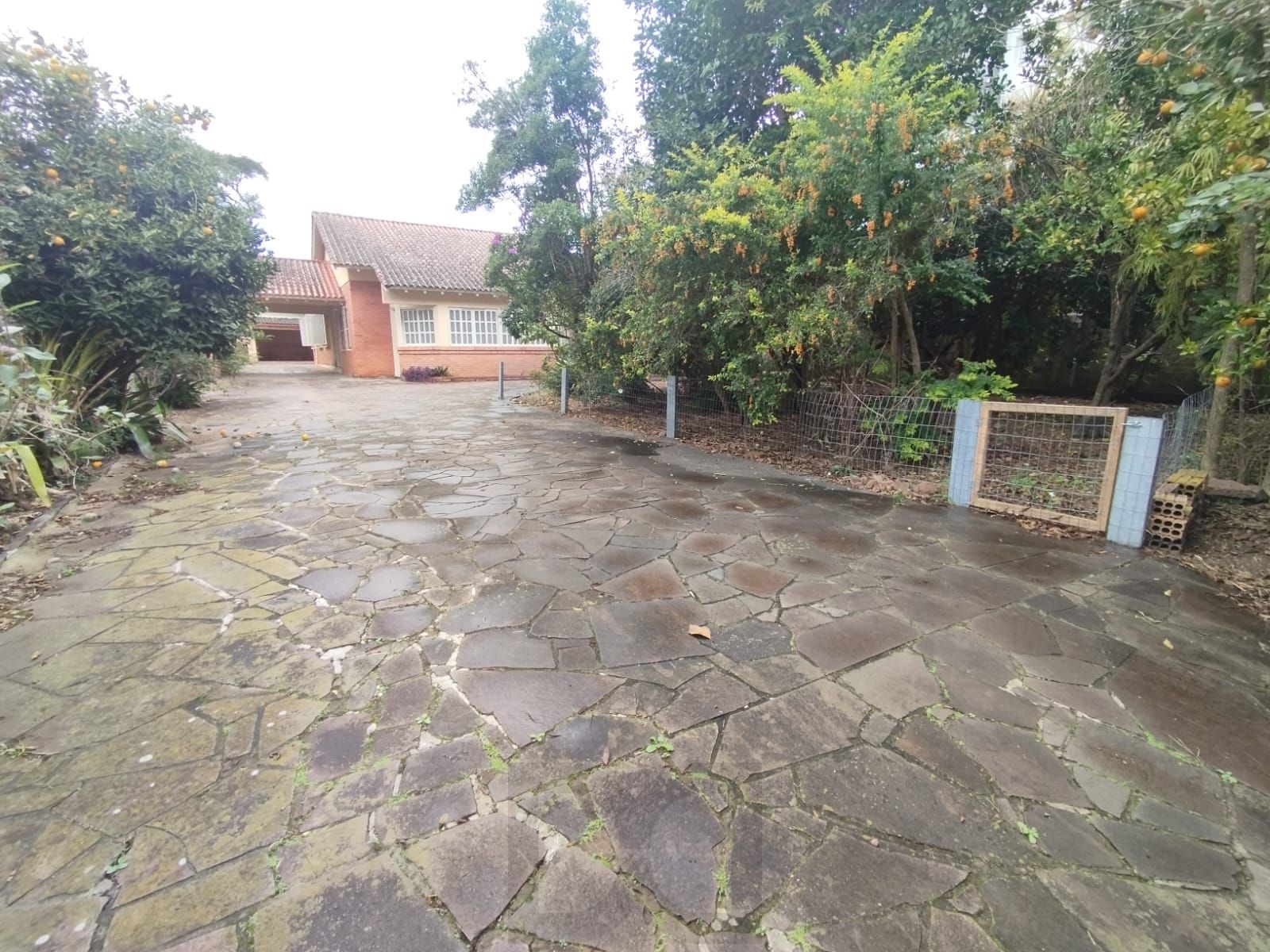 Casa para alugar no bairro camaquã! — foto 3