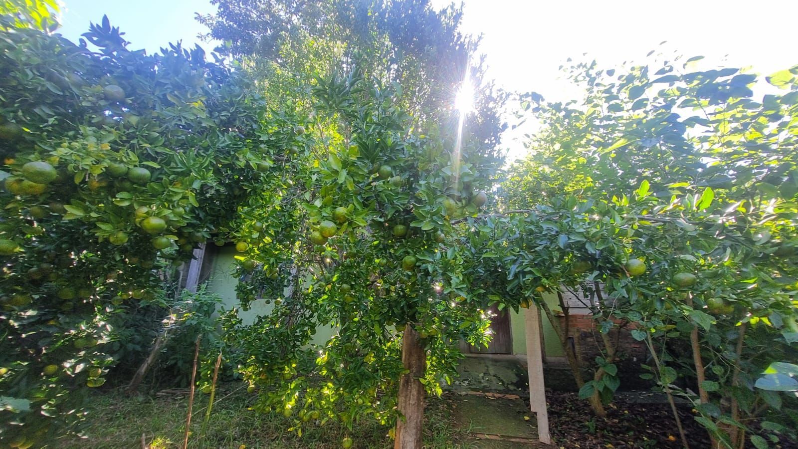 Ótima Residência com 5 dormitórios e 2 suítes. Bairro Santa Tereza. — foto 46