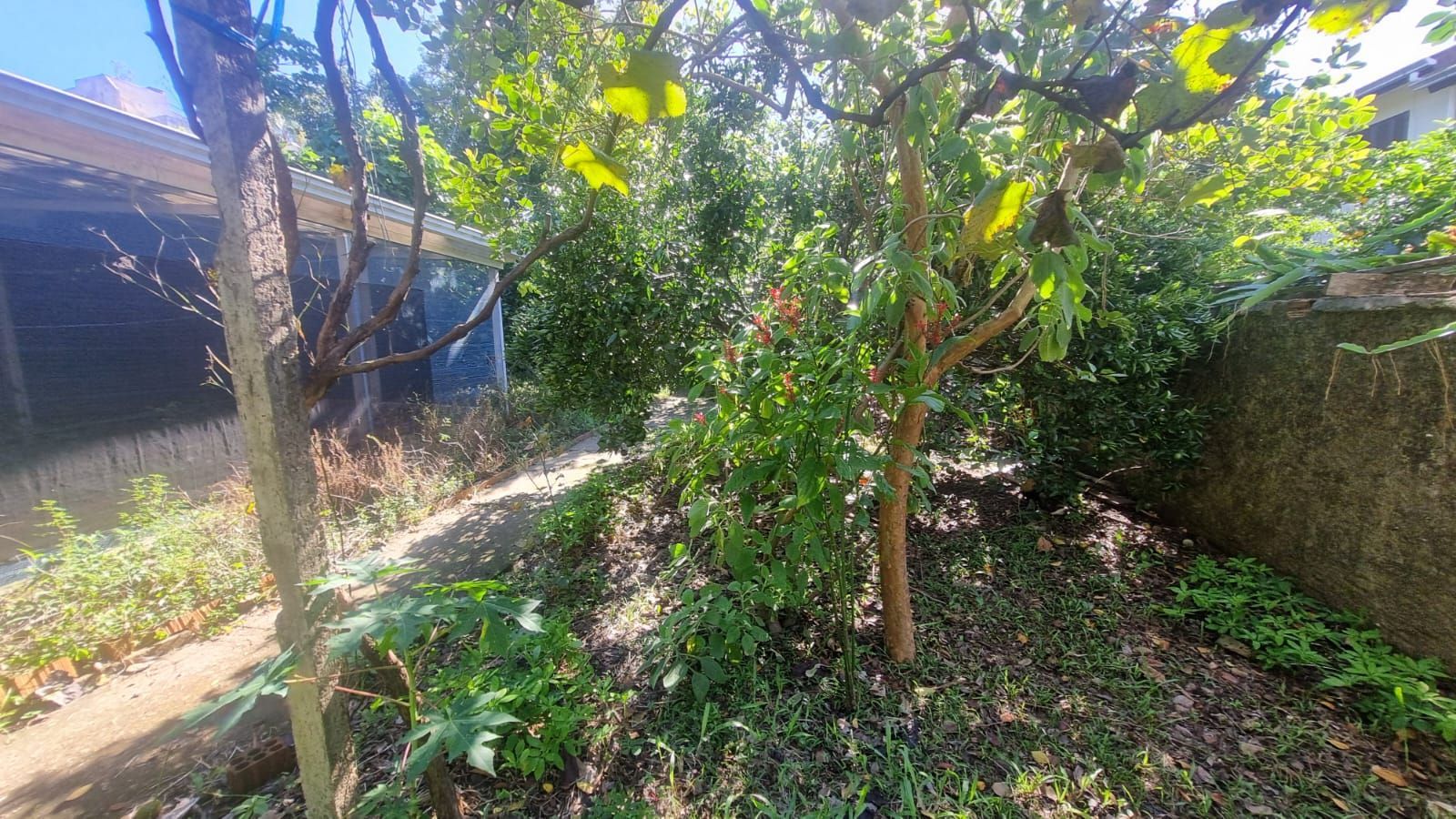 Ótima Residência com 5 dormitórios e 2 suítes. Bairro Santa Tereza. — foto 48
