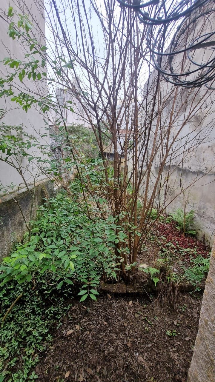 ótima casa transformada em comercial, com 3 salas, banho social, cozinha, pátio, em localização privilegiada no bairro. — foto 21