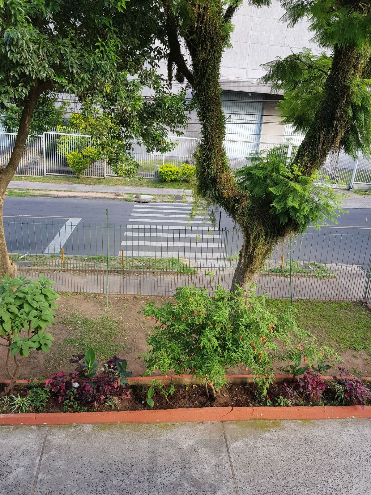 Apartamento 01 dormitório, em ótima localização — foto 2