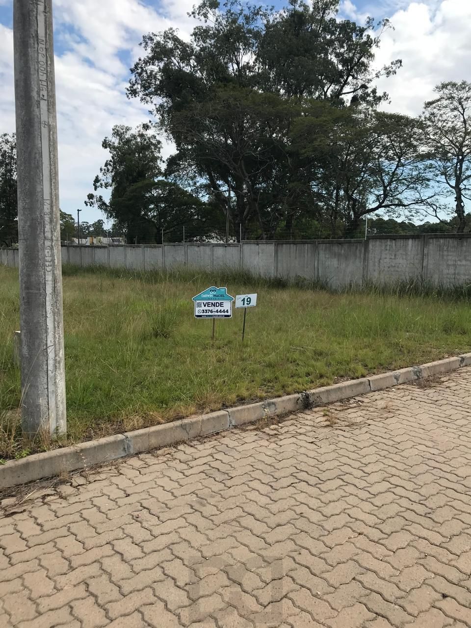 TERRENO ZONA SUL — foto 11
