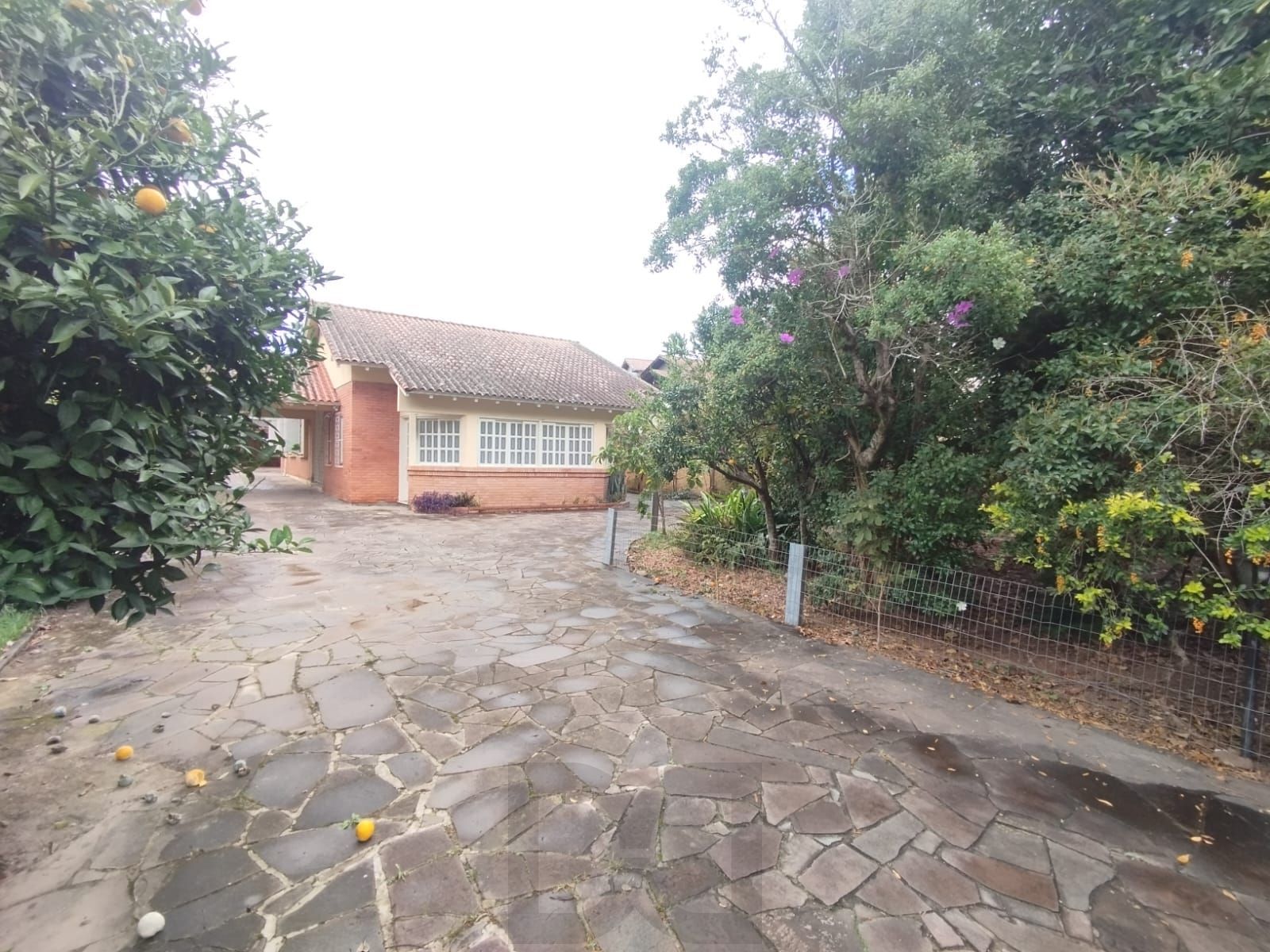 Casa para alugar no bairro camaquã! — foto 2