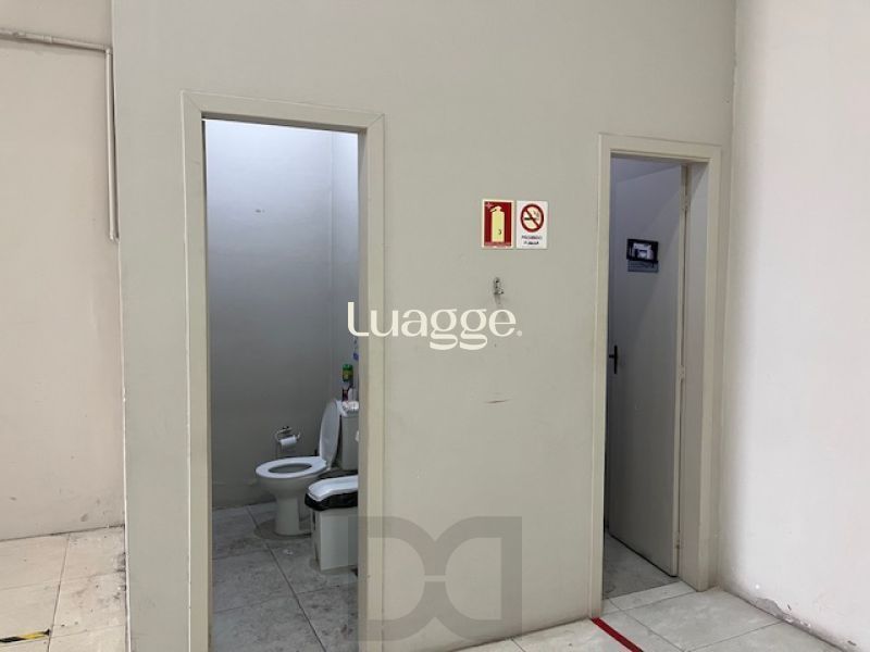 .jpeg+2025-08-15