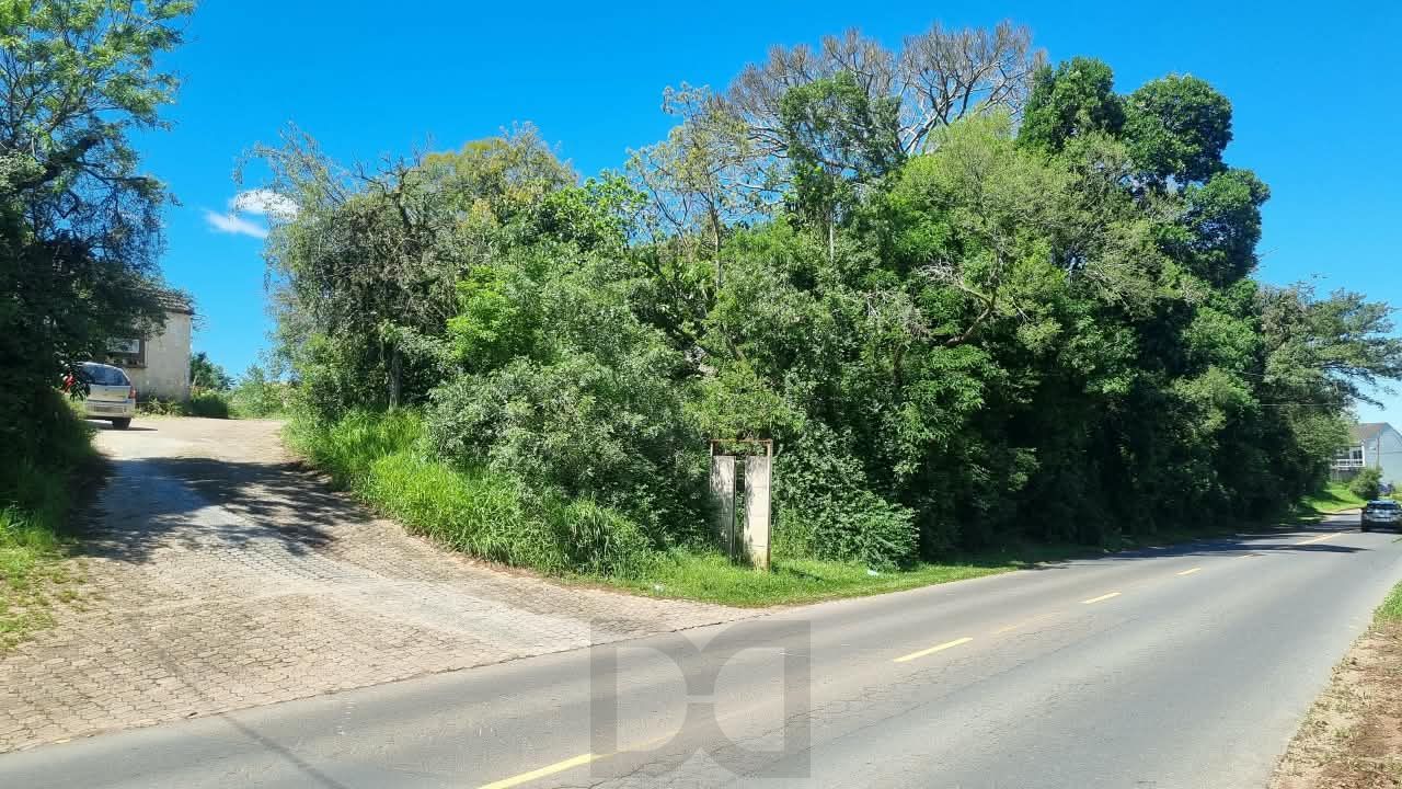 Ótima área para condomínio ou empreendimentos MCMV. — foto 1