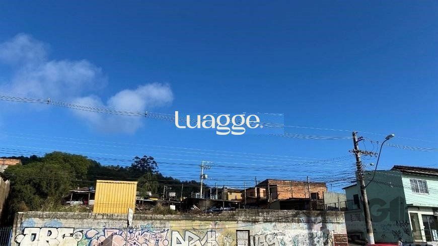 .jpg+2025-03-05