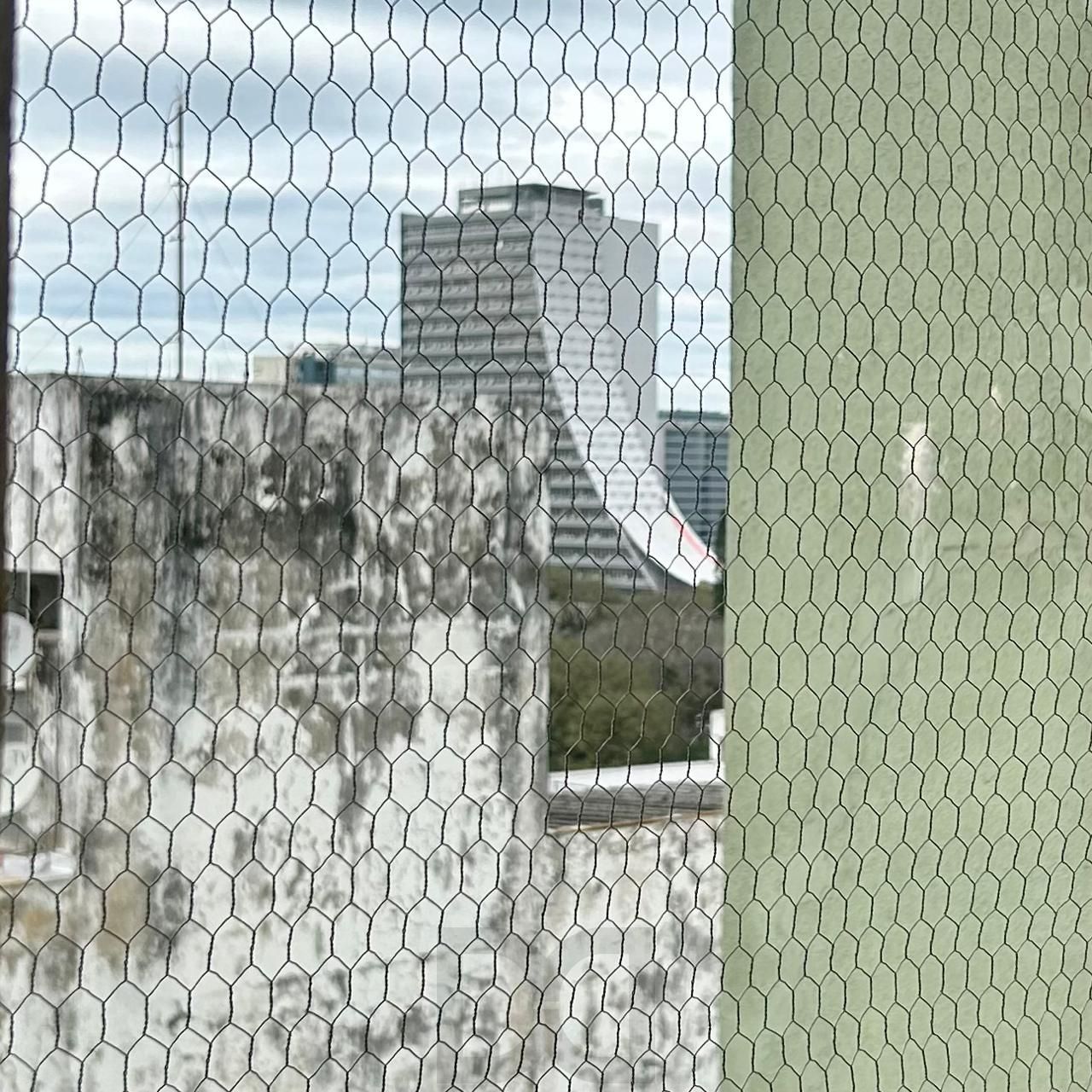 vista fundos