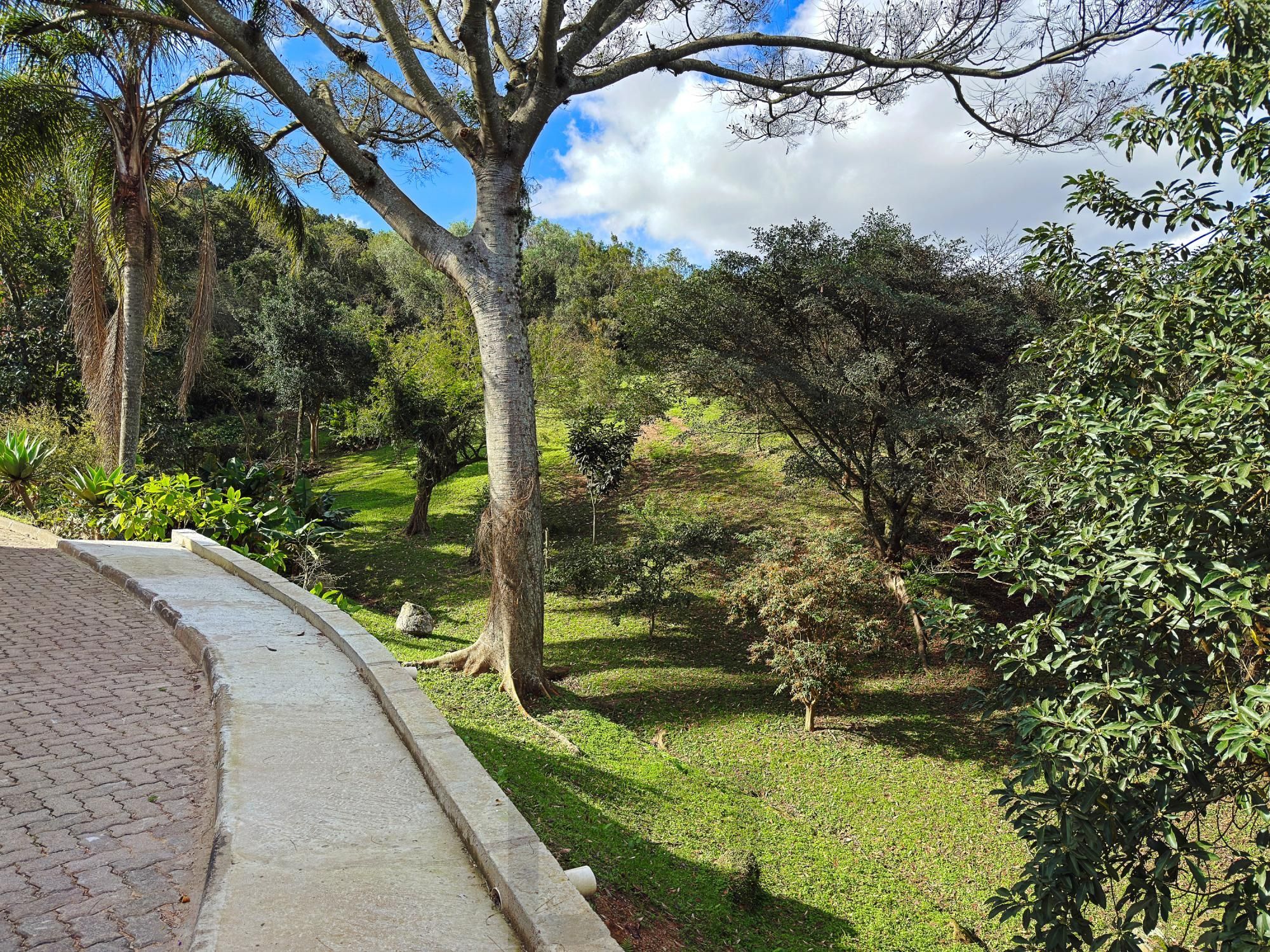 Casa em Condomínio  | 3 Dormitórios, Suíte, Lareira e Churrasqueira — foto 62