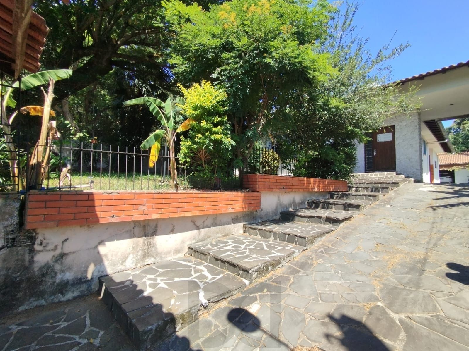 — foto 2