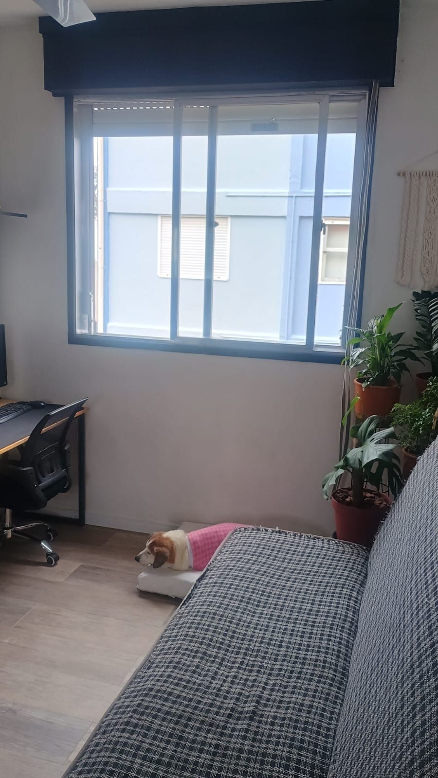 Excelente apartamento de 2 dormitórios no bairro Camaquã. — foto 37