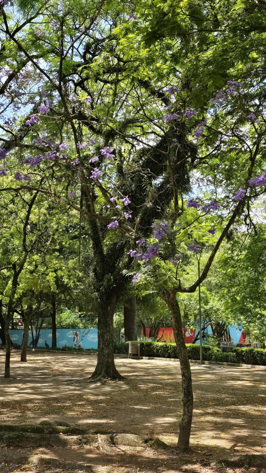 Em frente ao Parcão