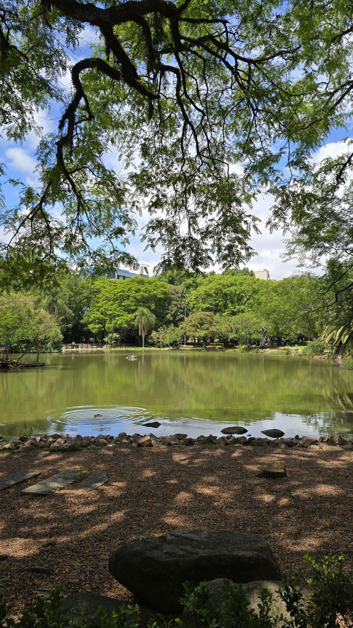 Em frente ao Parcão