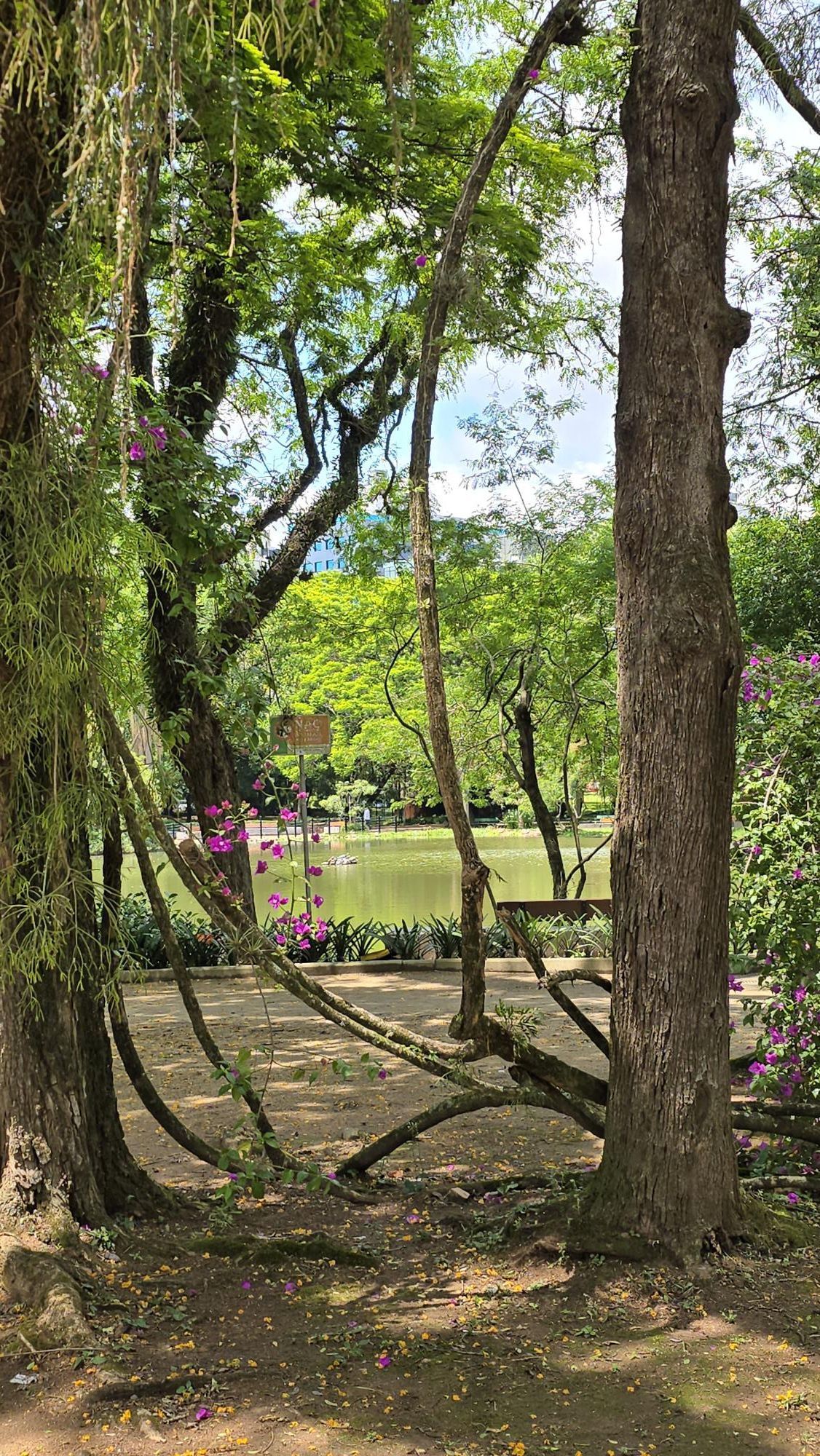 Em frente ao Parcão!