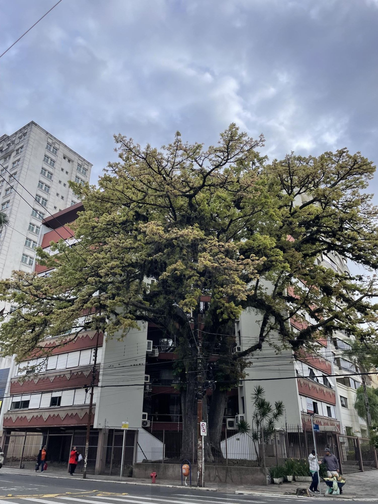Apartamento no bairro Menino Deus com 3 dormitórios com vaga e elevador — foto 1