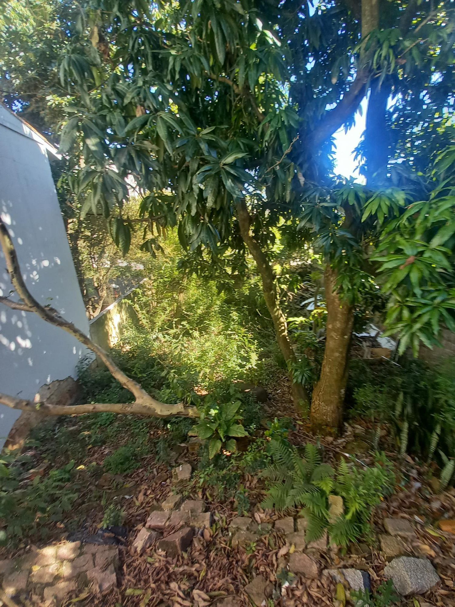 Casa/Terreno - — foto 3