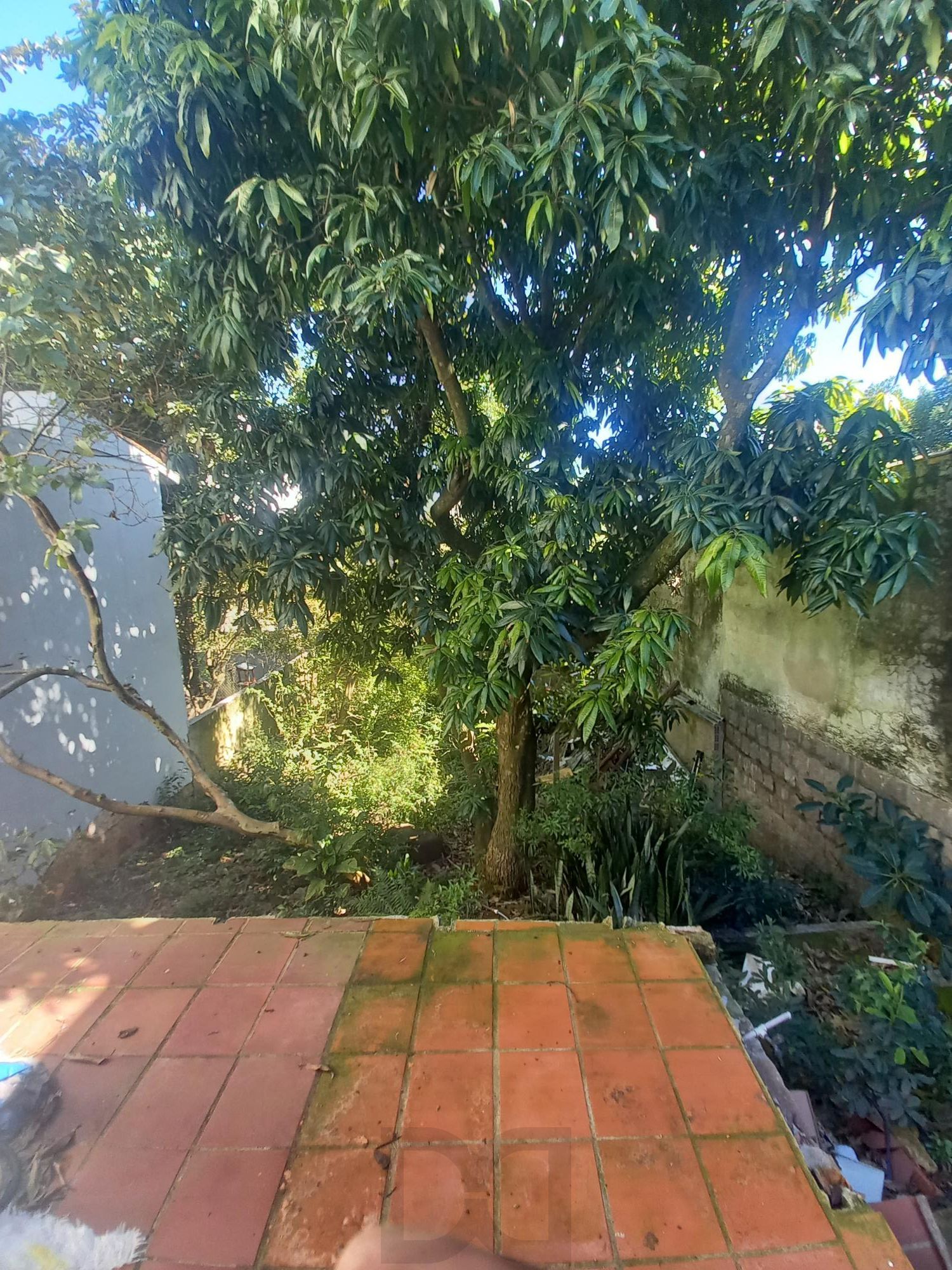 Casa/Terreno - — foto 4