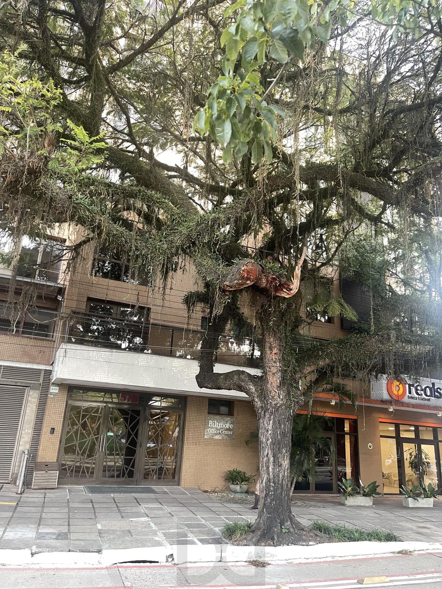 Ampla sala comercial com vaga de garagem escriturada — foto 3