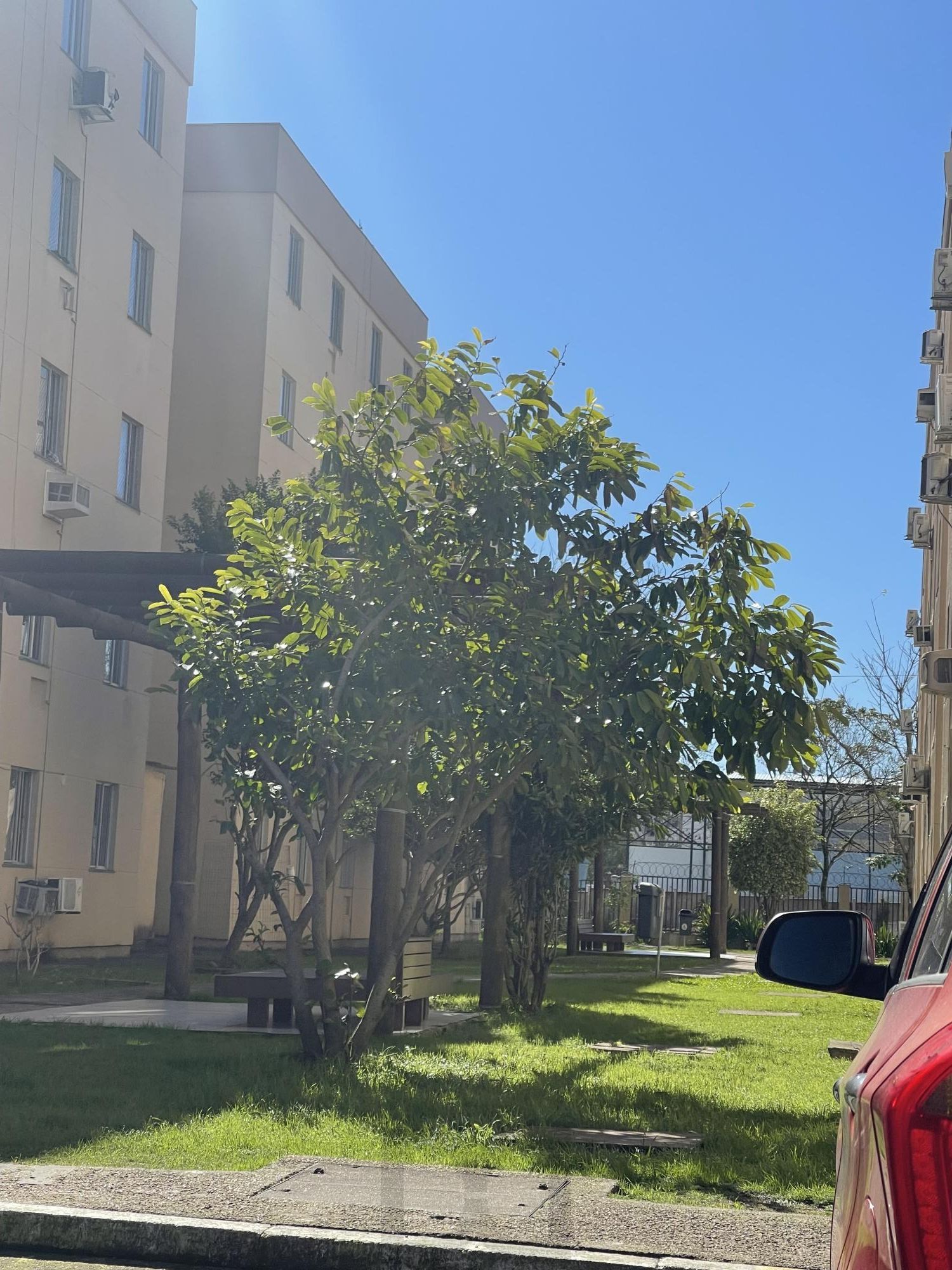 Apartamento de 2 dormitórios Terceiro andar com vaga no Jardim Leopoldina — foto 32