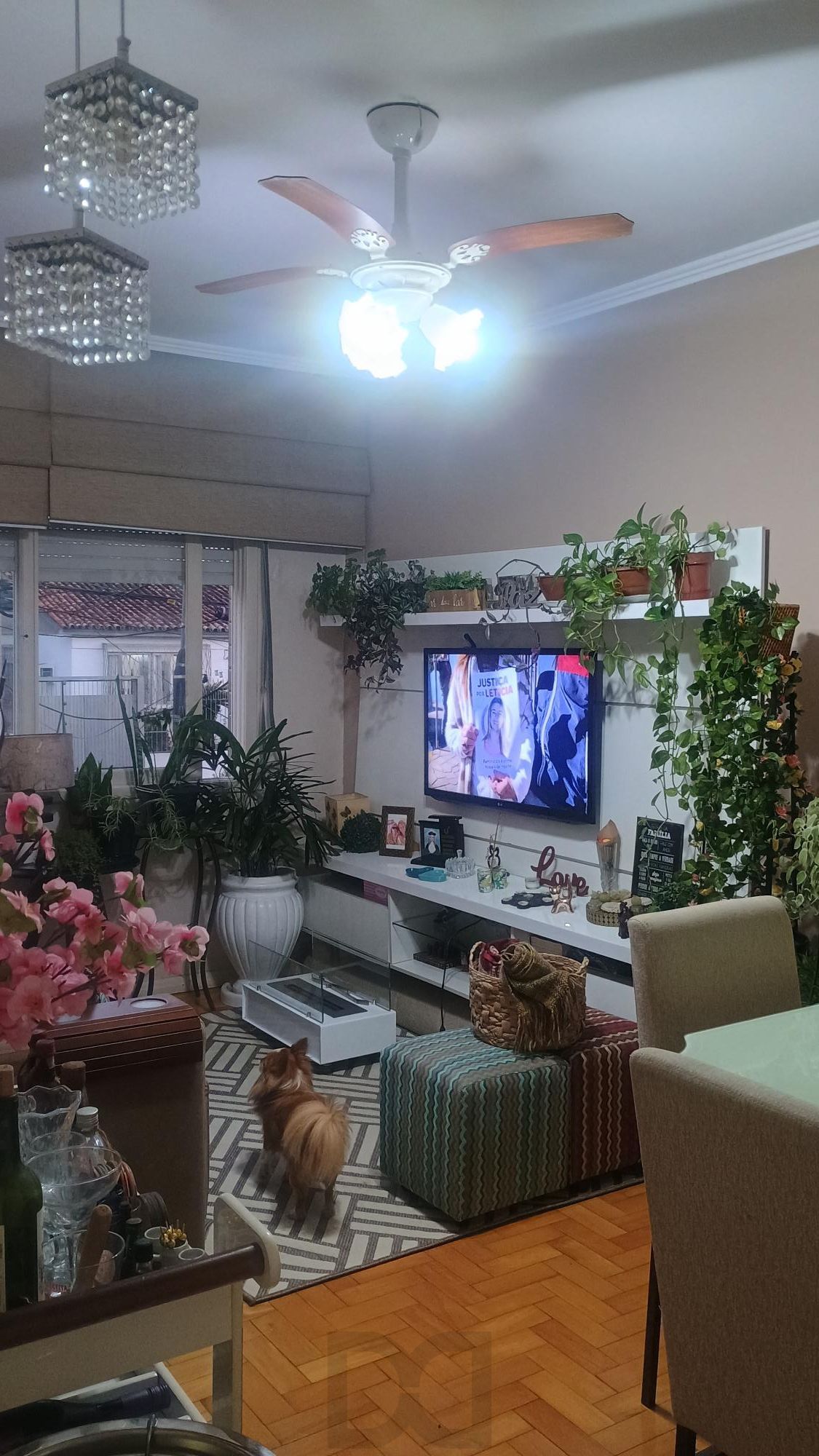 " IMPERDÍVEL" Apartamento de 2dormitórios semimobiliado  ao lado do Bourbon Teresópolis. — foto 7