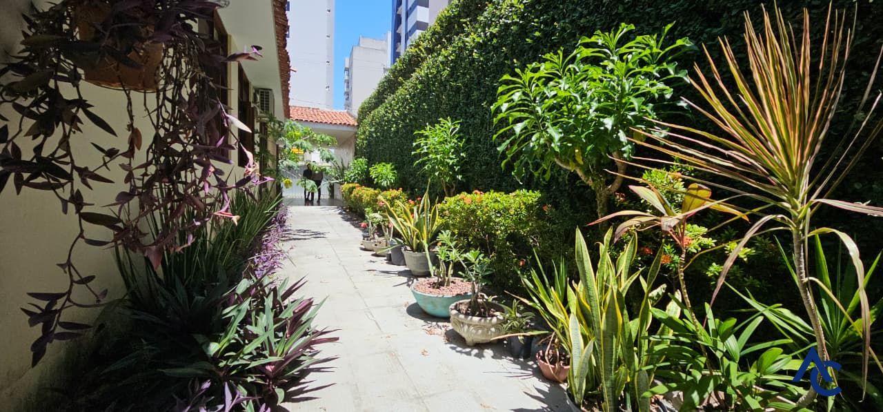 Casa, 4 quartos, 300 m² - Foto 6