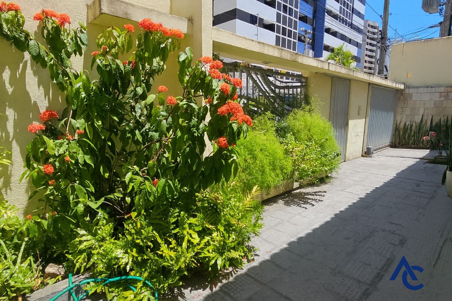 Casa, 4 quartos, 300 m² - Foto 4