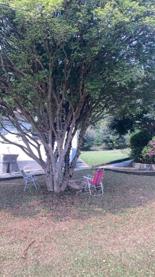 Chácara, 2 quartos, 2754 m² - Foto 10