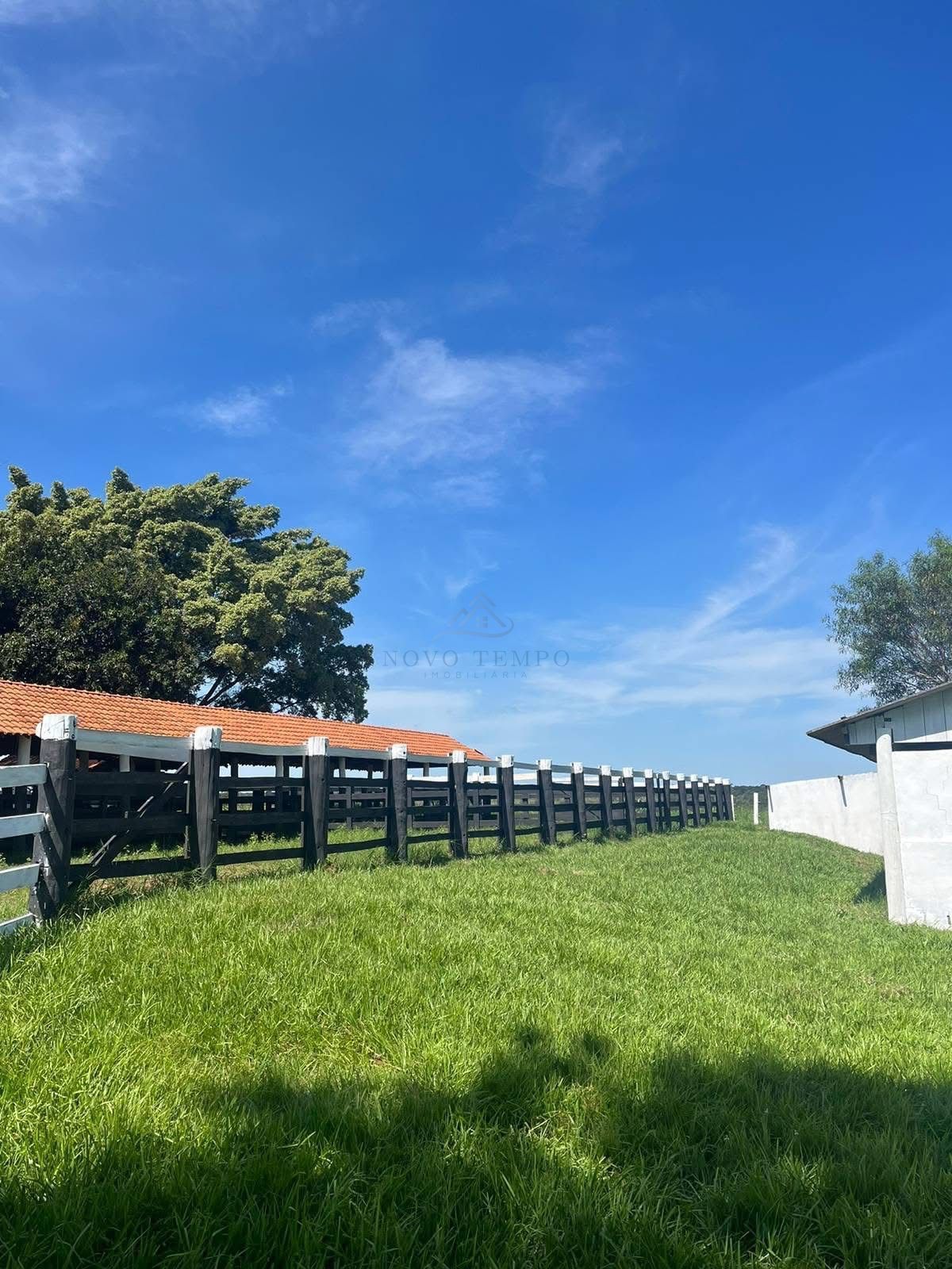 Fazenda, 321 hectares - Foto 7