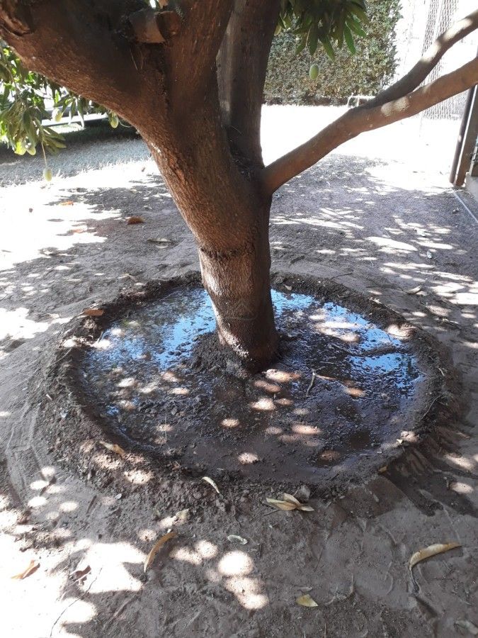 Chácara, 2 quartos, 499 m² - Foto 15