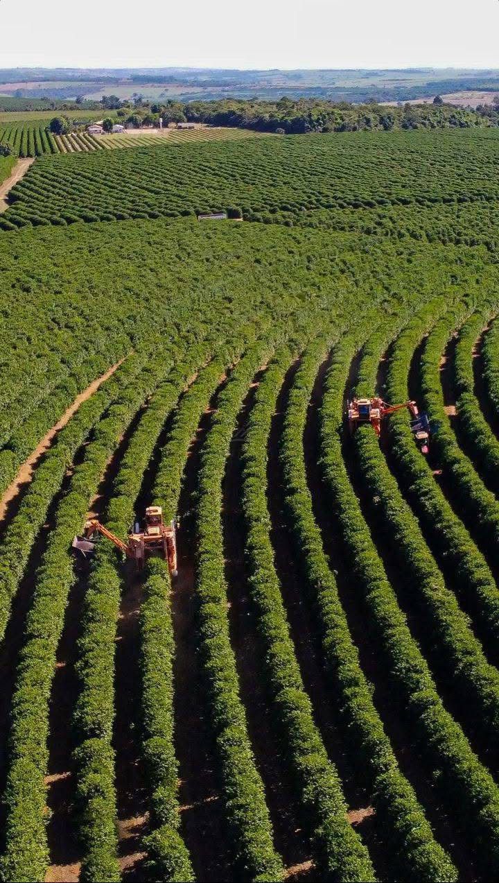 Fazenda, 5300 hectares - Foto 2