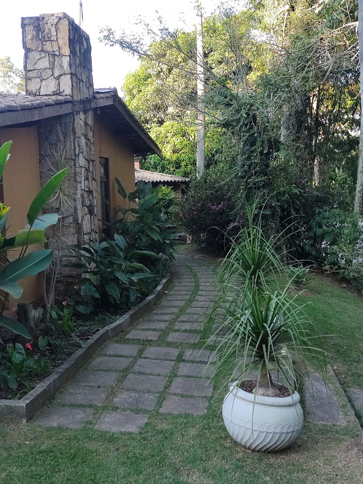 Sítio, 2 quartos, 4 hectares - Foto 12