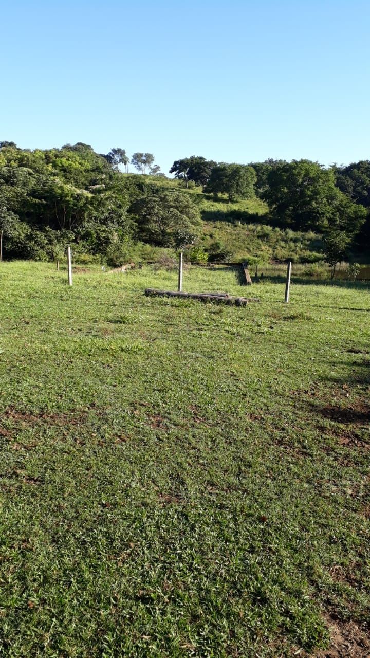 Fazenda, 740 hectares - Foto 4