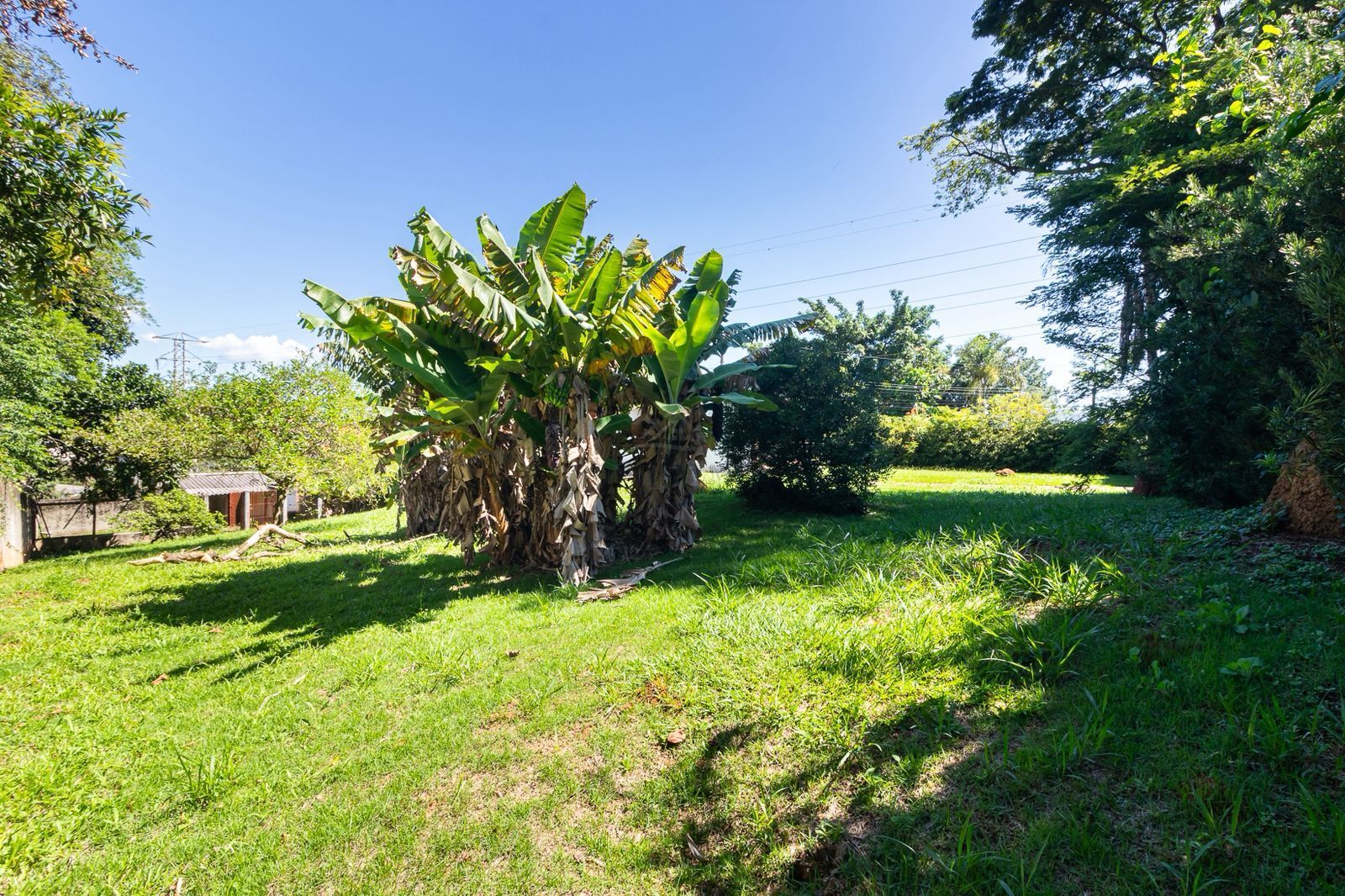 Loteamento e Condomínio, 3800 m² - Foto 3