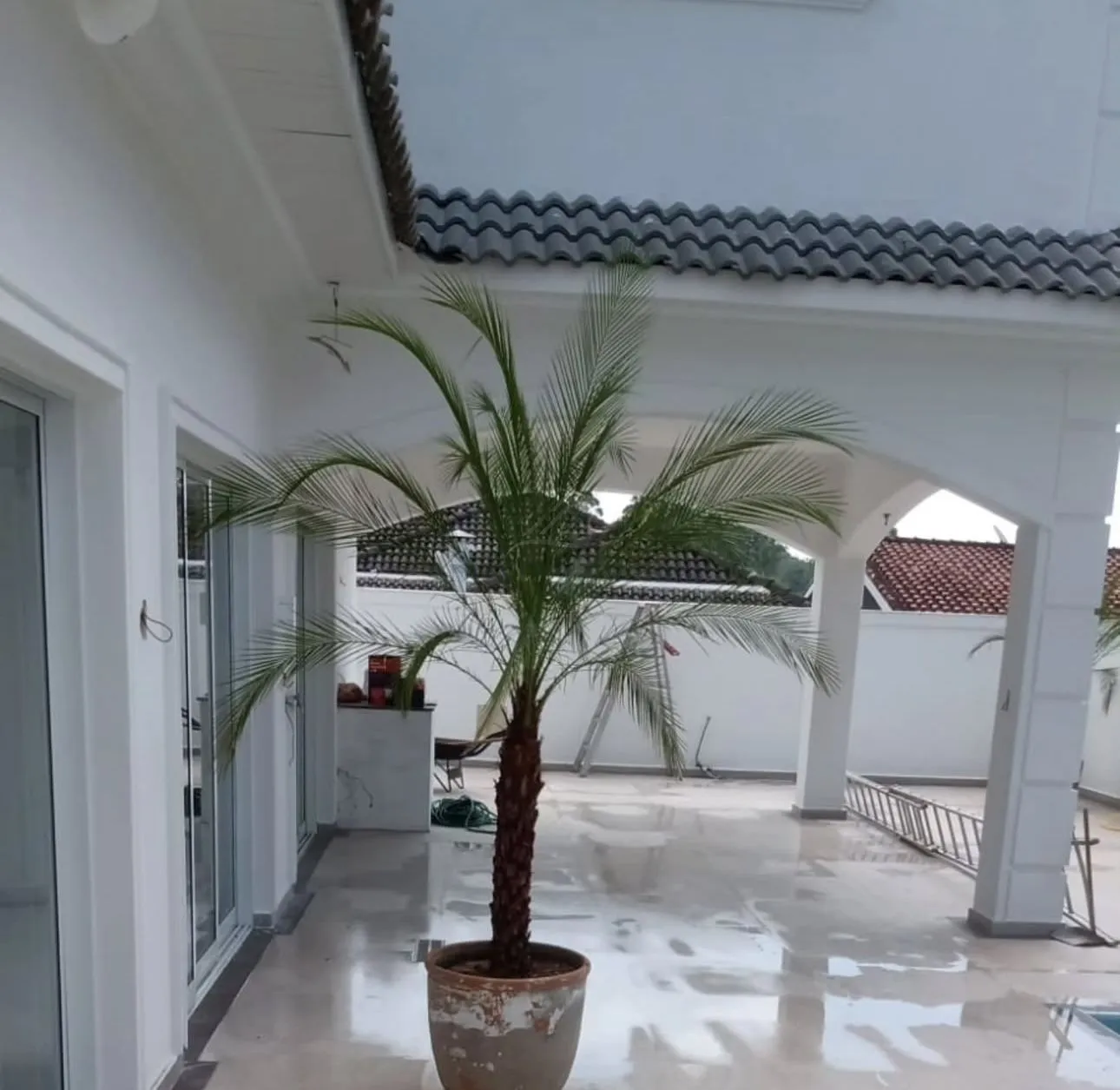 Casa, 4 quartos, 450 m² - Foto 12
