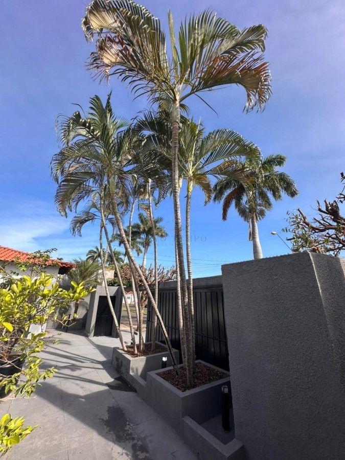 Casa, 2 quartos, 176 m² - Foto 24