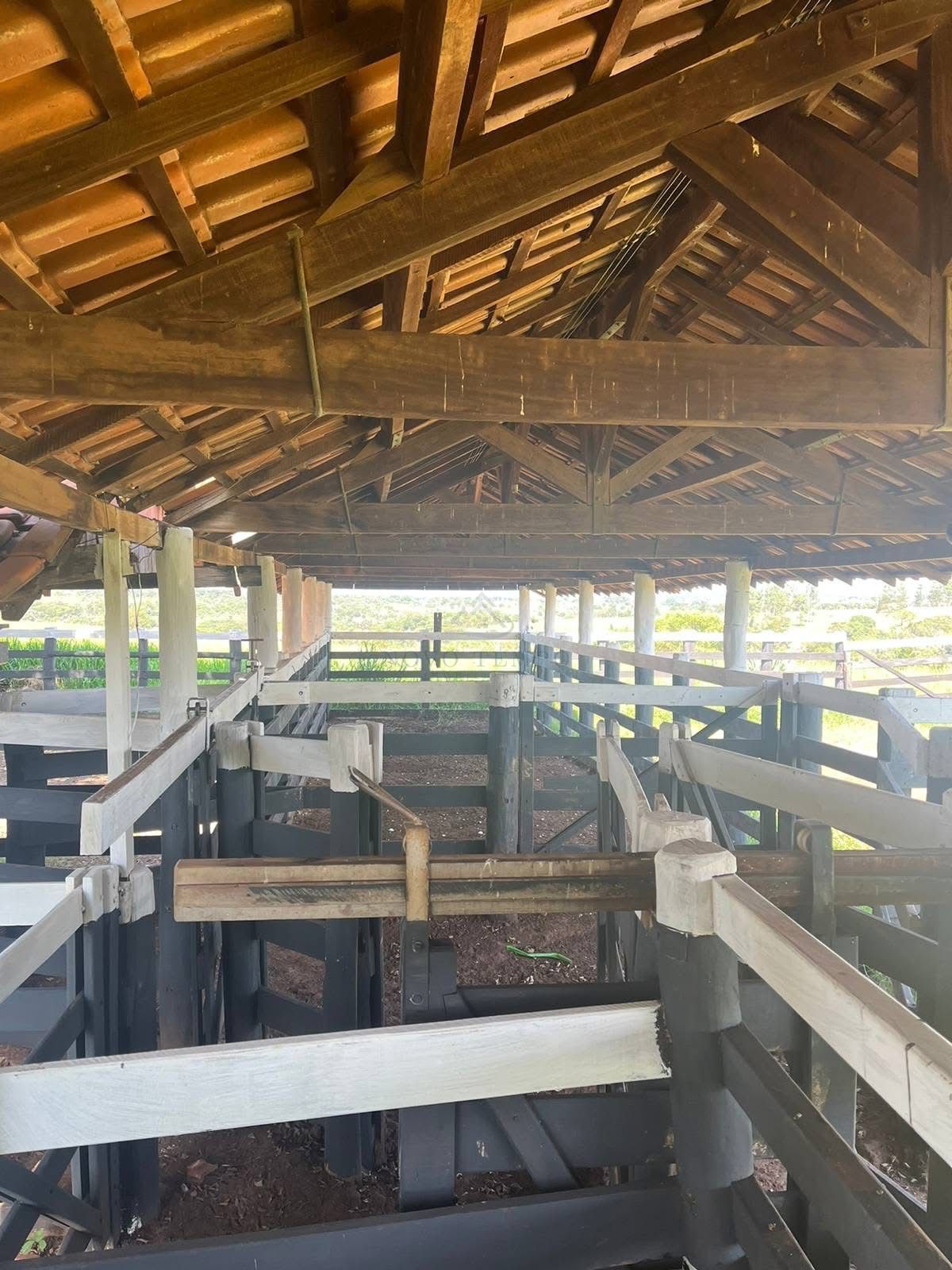 Fazenda, 321 hectares - Foto 4