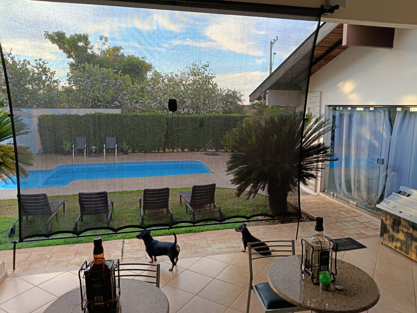 Sítio, 5 quartos, 500 m² - Foto 5