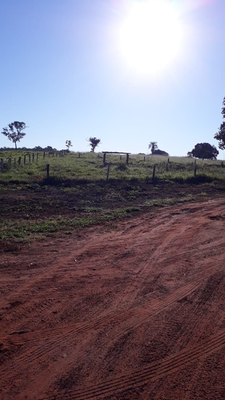 Fazenda, 740 hectares - Foto 10