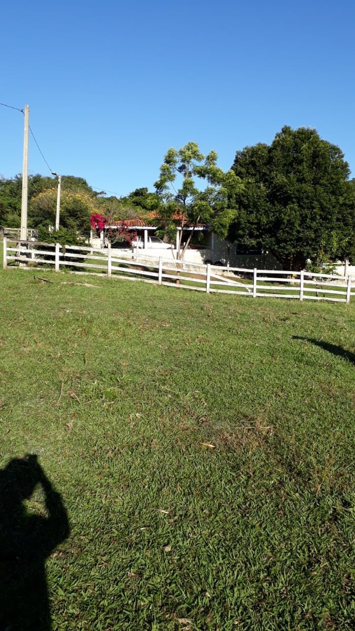 Fazenda, 740 hectares - Foto 8