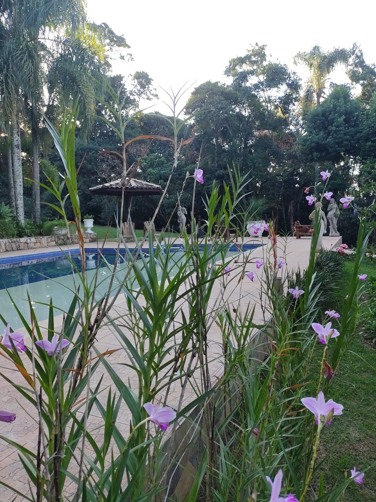 Sítio, 2 quartos, 4 hectares - Foto 1