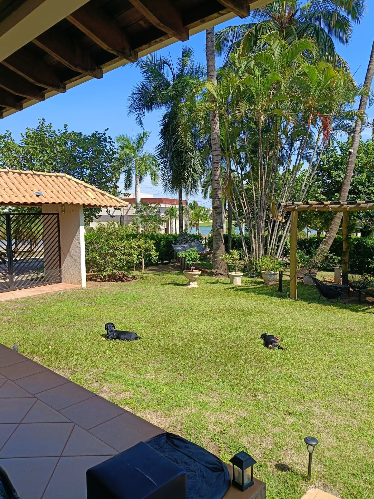 Sítio, 5 quartos, 500 m² - Foto 48