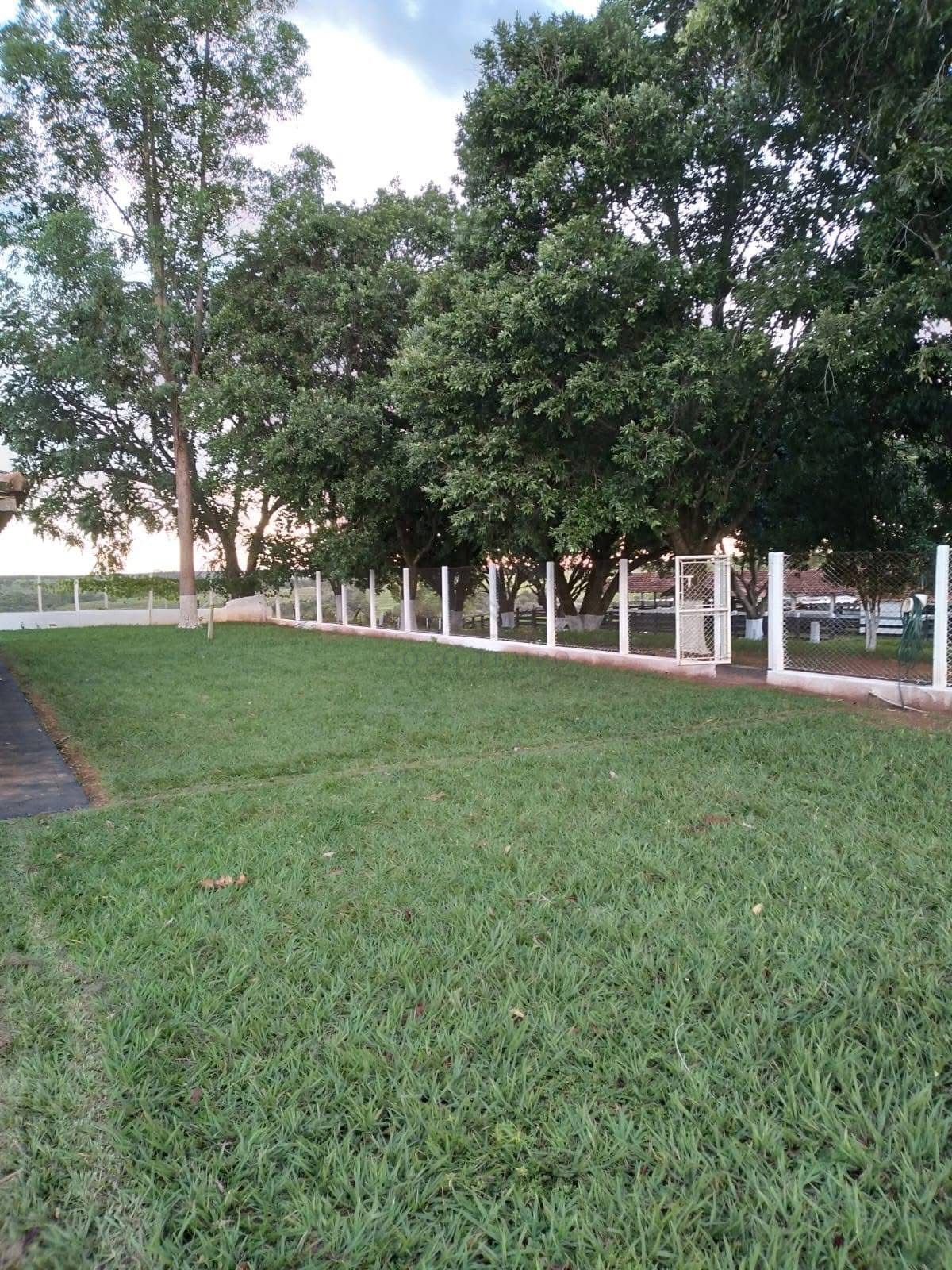 Fazenda, 321 hectares - Foto 11