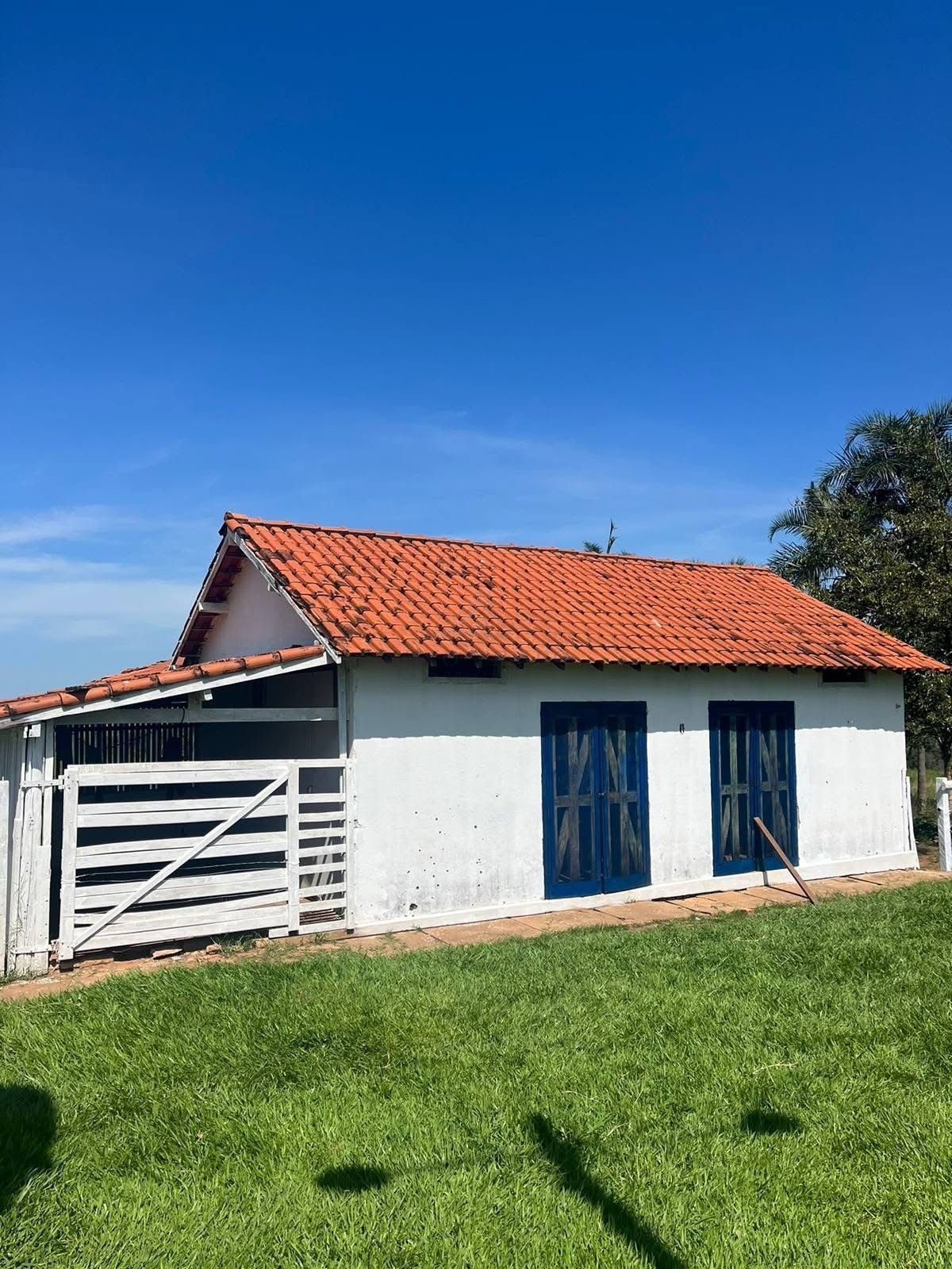 Fazenda, 321 hectares - Foto 10
