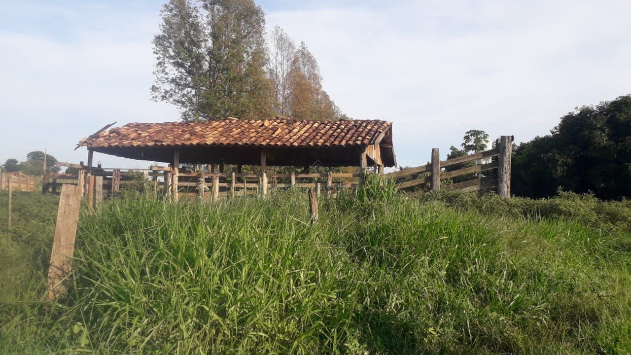 Chácara, 2 quartos, 24 hectares - Foto 4