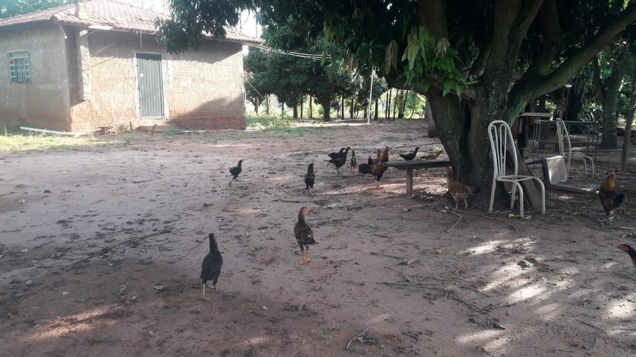Chácara, 2 quartos, 24 hectares - Foto 10
