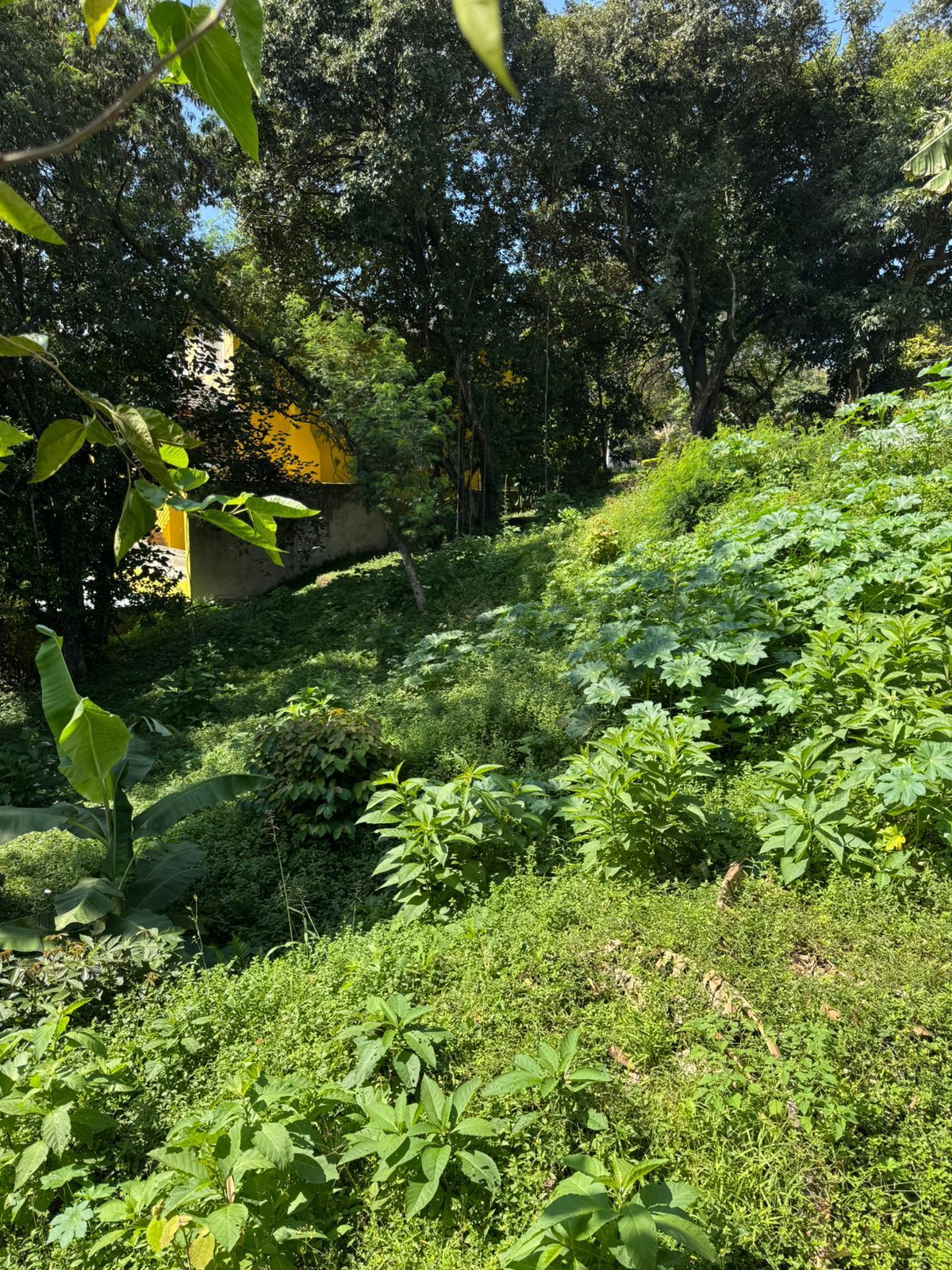 Terreno, 710 m² - Foto 11