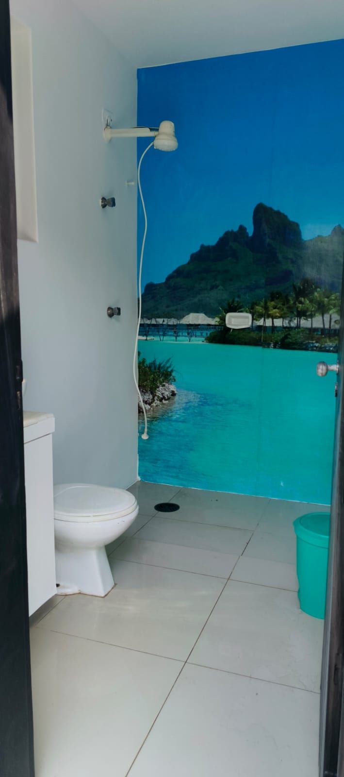 Casa, 4 quartos, 250 m² - Foto 19