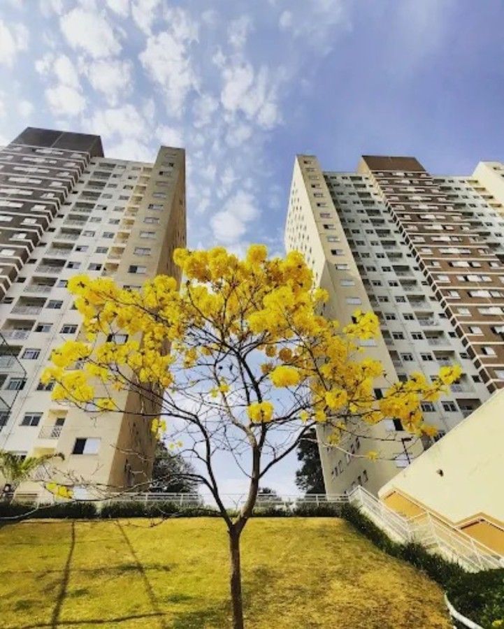 Apartamento, 2 quartos, 56 m² - Foto 24