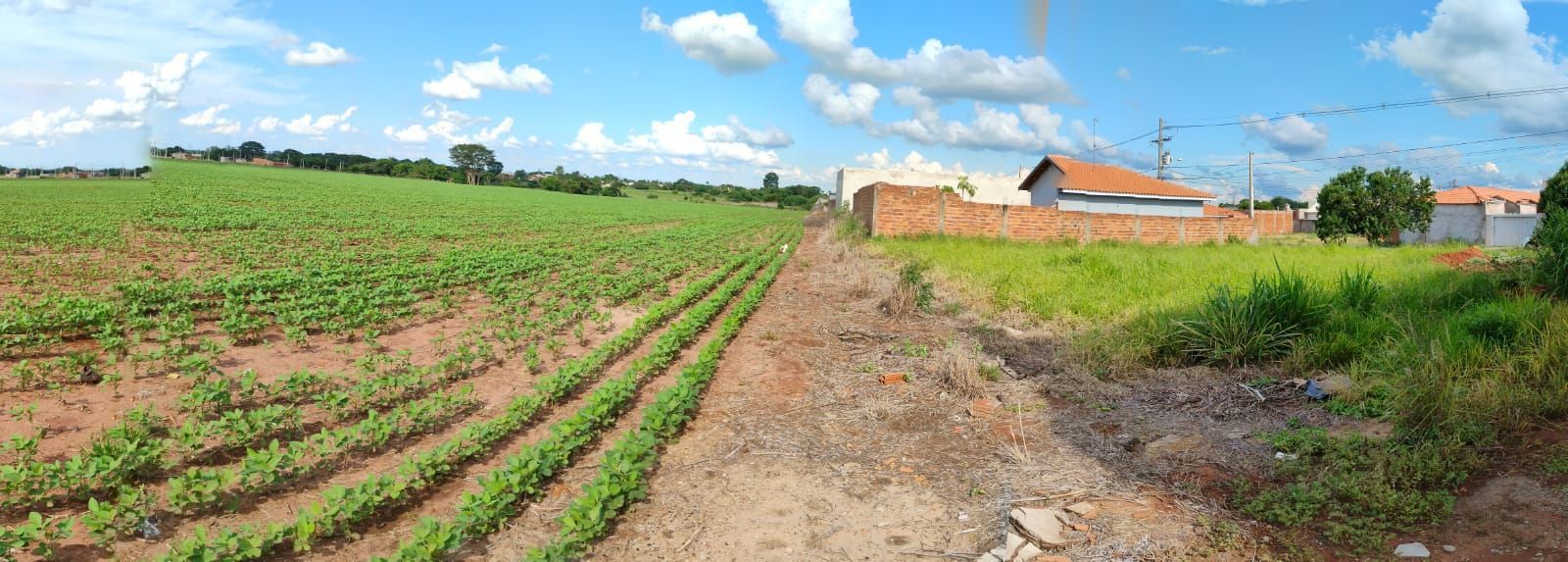 Terreno, 255 m² - Foto 8